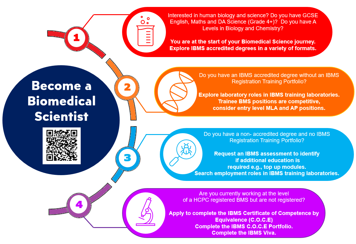 Infographic on the routes to becoming a biomedical scientist